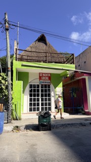 Local en Renta Puerto Morelos VERDE